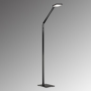 Fischer & Honsel RIKE Floor Lamp LED black, 1-light source