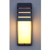 Lutec CITY Outdoor Wall Light anthracite, 1-light source