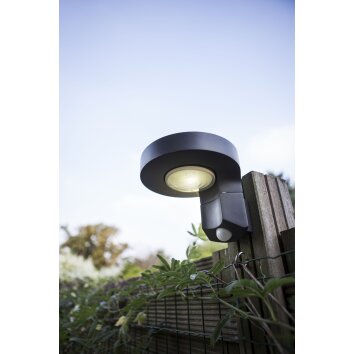 Lutec DISO Outdoor Wall Light LED anthracite, 1-light source, Motion sensor