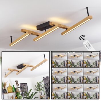 DISENTIS Ceiling Light LED Ecru, black, 1-light source, Remote control