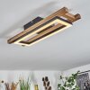 AYAJASCO Ceiling Light LED Ecru, black, 1-light source