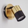 NEFTENBACH Wall Light brass, black, 1-light source