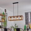 BRUGG Pendant Light black, 4-light sources