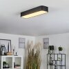 IRIONDO Ceiling Light LED black, 1-light source, Remote control