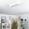 IRIONDO Ceiling Light LED white, 1-light source, Remote control