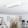 IRIONDO Ceiling Light LED white, 1-light source, Remote control