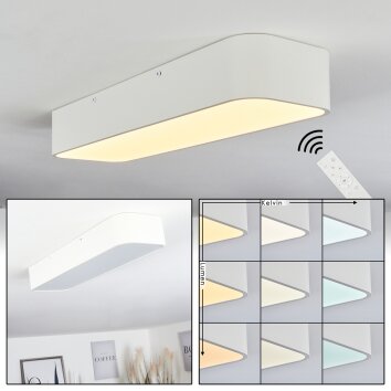 IRIONDO Ceiling Light LED white, 1-light source, Remote control