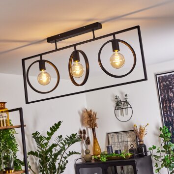 ASSINIBOIA Ceiling Light black, 3-light sources