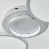 CARABAJAL Ceiling Light LED titanium, 1-light source