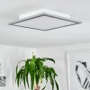 WILDERSWIL Ceiling Light LED white, 1-light source