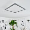 WILDERSWIL Ceiling Light LED white, 1-light source
