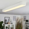IRIONDO Ceiling Light LED white, 1-light source, Remote control