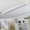 IRIONDO Ceiling Light LED white, 1-light source, Remote control