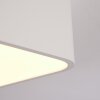 IRIONDO Ceiling Light LED white, 1-light source, Remote control