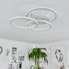 XENA Ceiling Light LED white, 1-light source, Remote control