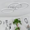 XENA Ceiling Light LED white, 1-light source, Remote control