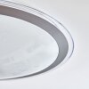 GORGONTA Ceiling Light LED white, 2-light sources, Remote control, Colour changer
