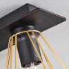 CENOVA Ceiling Light black, 3-light sources