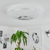 AUXERRE Ceiling Light LED white, 1-light source