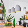 STETTLER Pendant Light black, 3-light sources