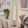 GAMSEN Floor Lamp LED matt nickel, 3-light sources, Remote control, Colour changer