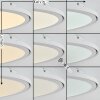 TELSEN Ceiling Light LED white, 2-light sources, Remote control, Colour changer