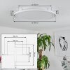 TELSEN Ceiling Light LED white, 2-light sources, Remote control, Colour changer