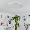 TELSEN Ceiling Light LED white, 2-light sources, Remote control, Colour changer