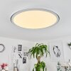 TELSEN Ceiling Light LED white, 2-light sources, Remote control, Colour changer