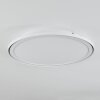TELSEN Ceiling Light LED white, 2-light sources, Remote control, Colour changer