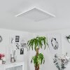 TELSEN Ceiling Light LED white, 2-light sources, Remote control, Colour changer