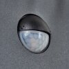 FOOTHILLS Outdoor Wall Light anthracite, 1-light source, Motion sensor