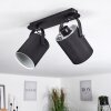 PUELCHES Ceiling Light black, 2-light sources