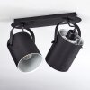 PUELCHES Ceiling Light black, 2-light sources