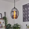 ROOSEVELT Pendant Light black, 1-light source