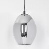 ROOSEVELT Pendant Light black, 1-light source
