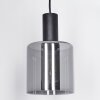 ROOSEVELT Pendant Light black, 1-light source