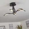 OETLING Ceiling Light LED black, 1-light source