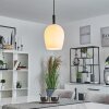 MAGNANO Pendant Light black, 1-light source