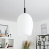 MAGNANO Pendant Light black, 1-light source
