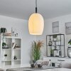 MAGNANO Pendant Light black, 1-light source