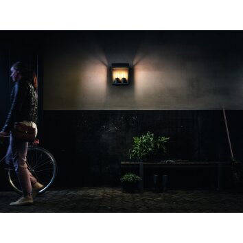 Philips HARVEST Outdoor Wall Light black, 2-light sources