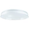 Brilliant LEANNA Ceiling Light LED white, 1-light source, Remote control, Colour changer