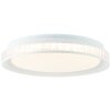 Brilliant BURLIE Ceiling Light LED white, 1-light source, Remote control, Colour changer