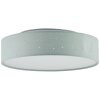 Brilliant BASKA Ceiling Light LED silver, 1-light source