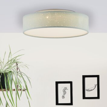 Brilliant BASKA Ceiling Light LED silver, 1-light source