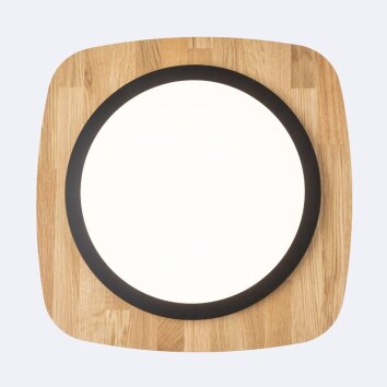 Elobra ARGENTINA Ceiling Light LED Ecru, black, 1-light source