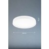 Fischer & Honsel PAON Ceiling Light LED white, 1-light source