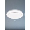 Fischer & Honsel TIVOLI Ceiling Light LED white, 1-light source