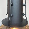 Fischer & Honsel LONDO Pendant Light black, 1-light source